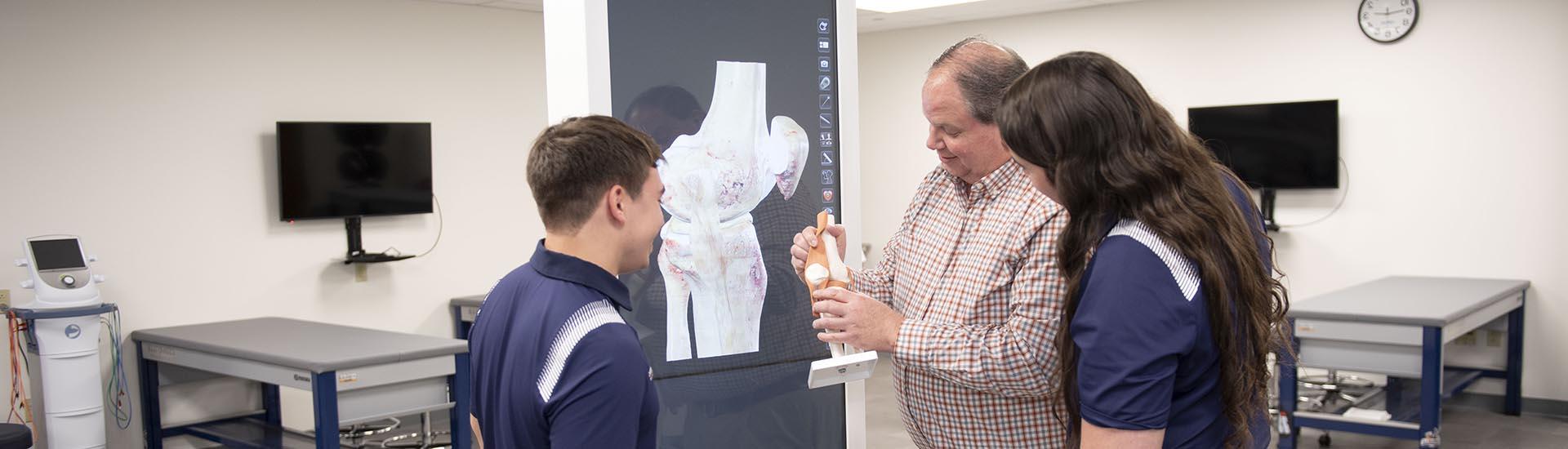 Professor with two athletic training students examining human knee joint models in a lab.