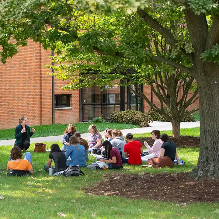 学生们坐在外面的树荫下.